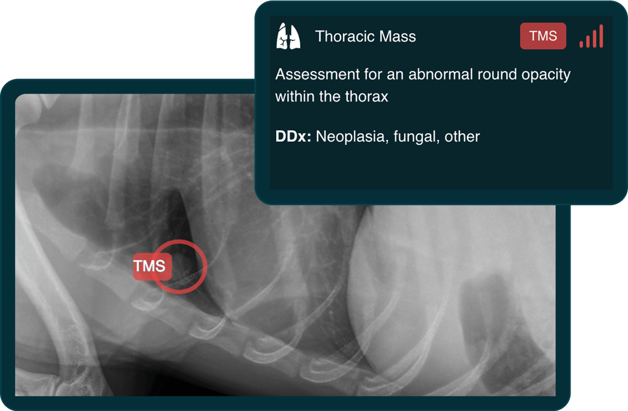 Instant radiograph interpretation