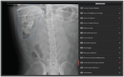 Radiology AI test results for Canine Gastrointestinal Foreign Body