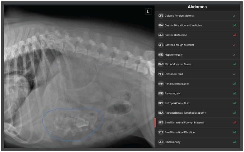SignalPET AI test results for Canine Gastrointestinal Foreign Body in a lateral view