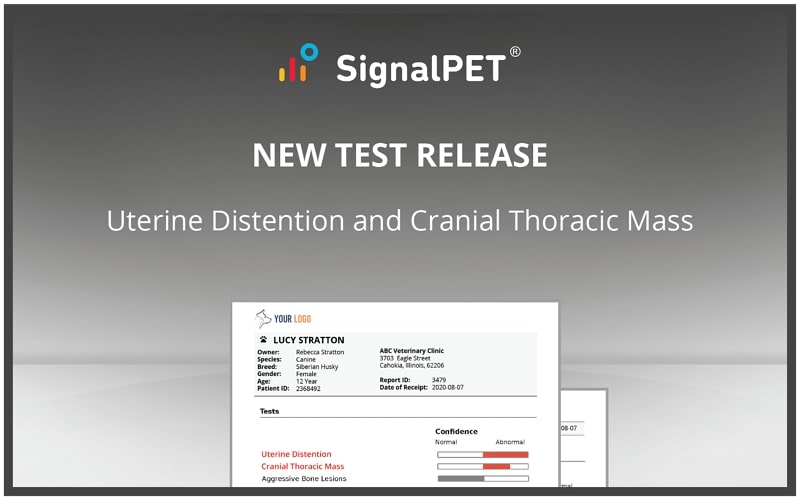 New AI Radiology Tests - Uterine Distention and Cranial Thoracic Mass