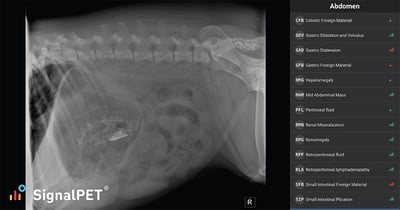 Esophageal foreign body example - Radiology AI test results on lateral view for Bubble and toy dinosaur