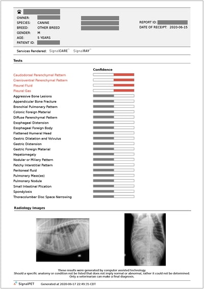 Radiology test results for a canine pleural effusion case