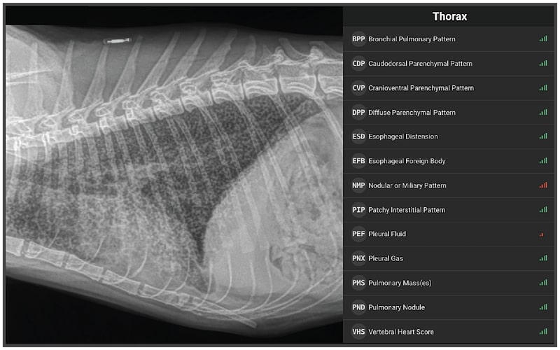AI radiology test results for Feline Miliary Pulmonary Pattern