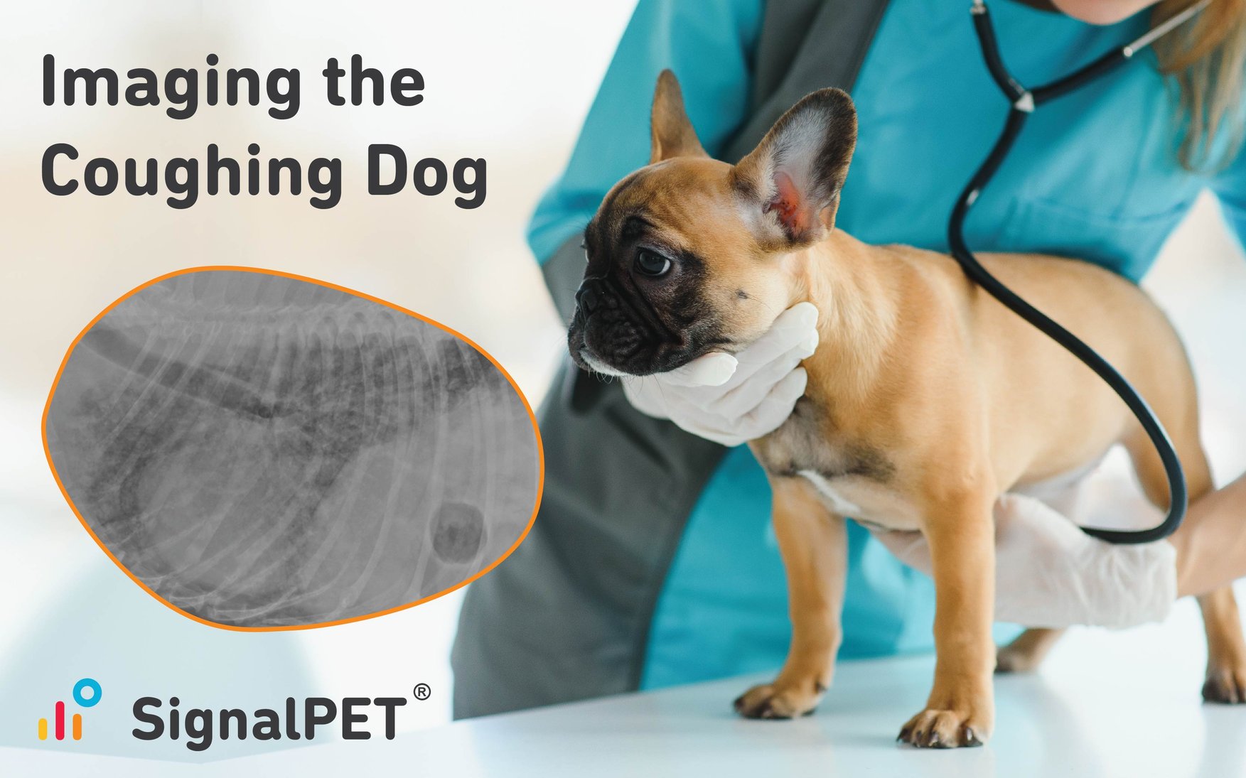 Imaging the Coughing Dog