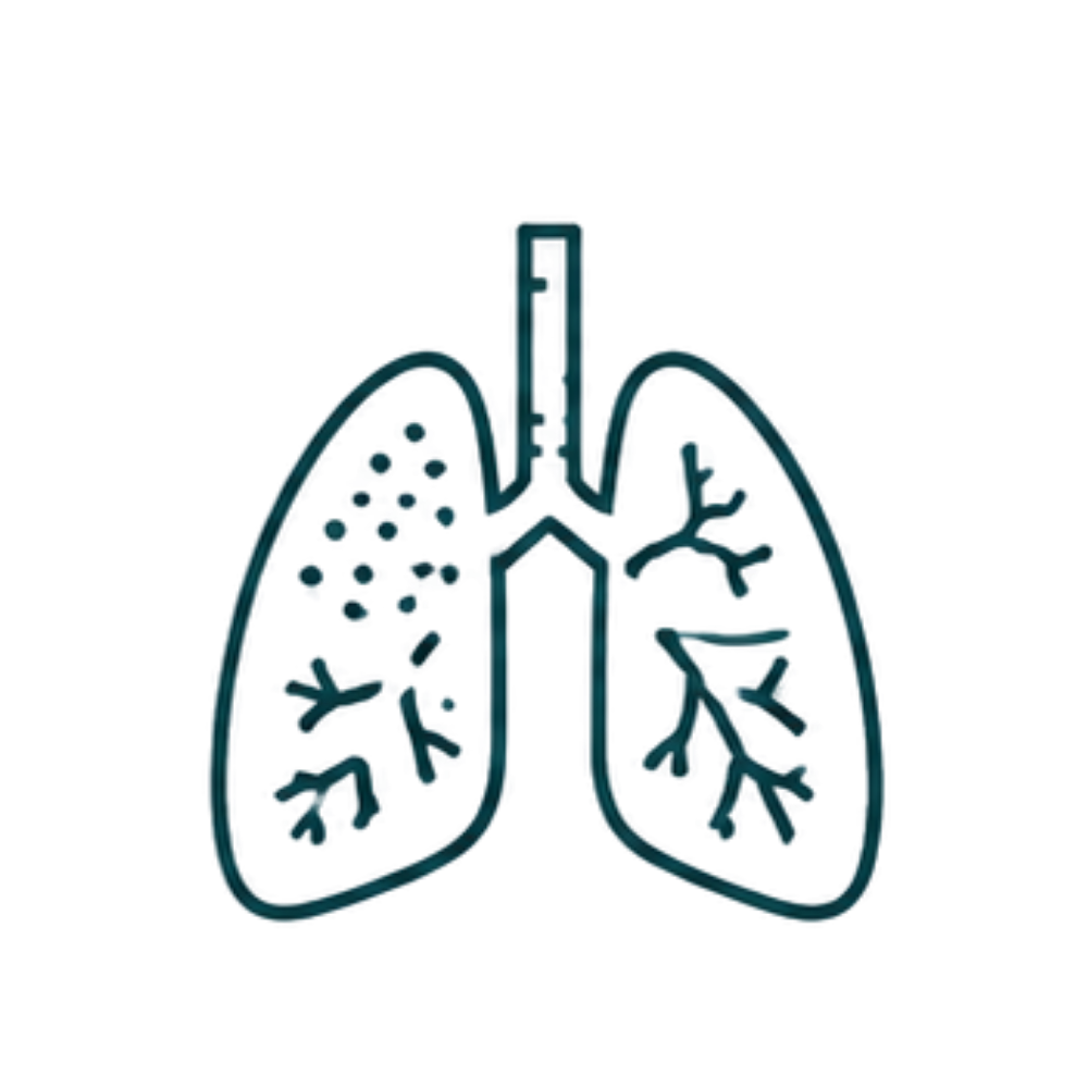 Pulmonary Pattern Recognition