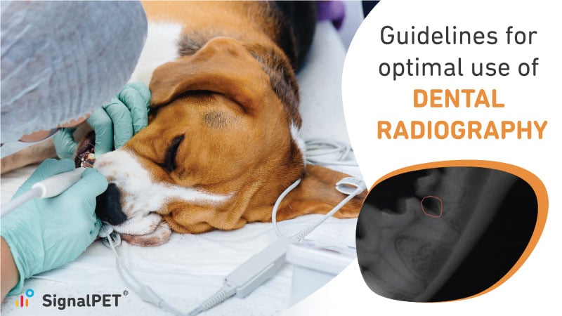 Guidelines for optimal use of dental radiography