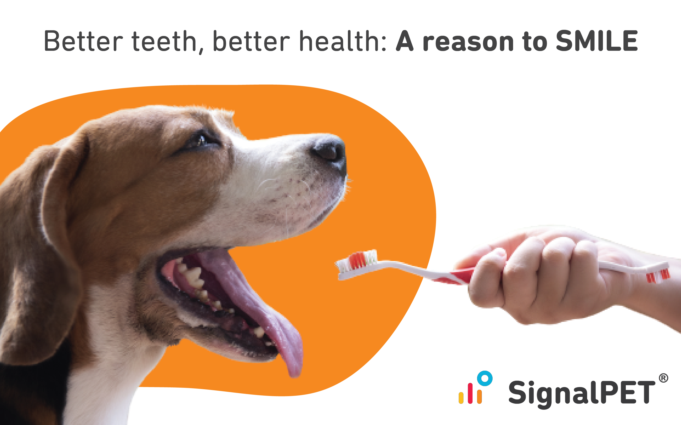 Better teeth, better health. A reason to SMILE.