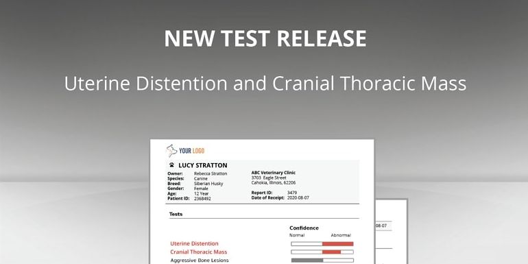 New Thoracic Tests! Uterine distention and Cranial thoracic mass