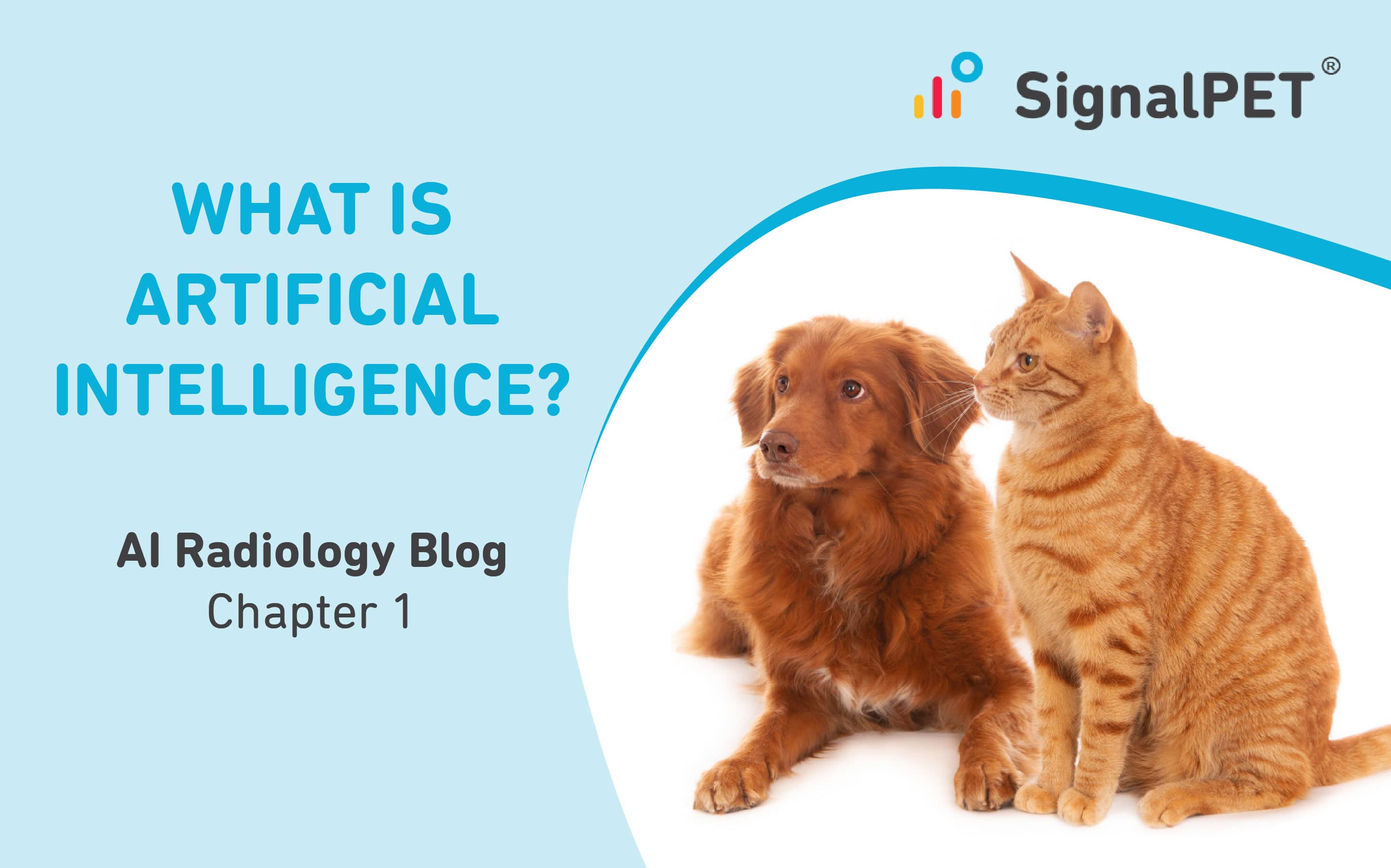 The AI Radiology Blog – Chapter 1: What is AI